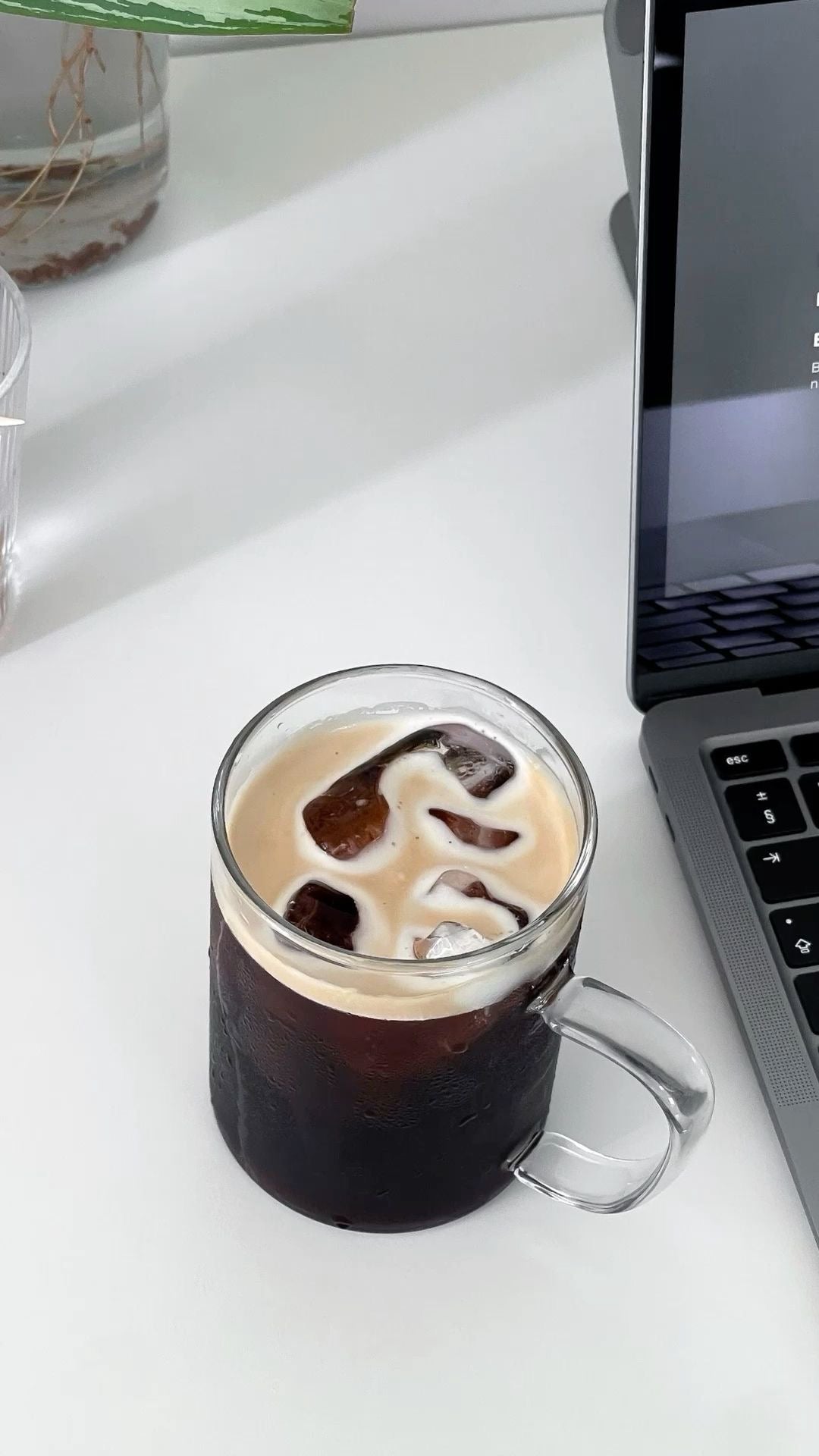 Cold Brew